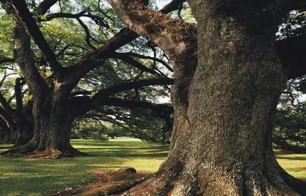 1555467644953409JXVi.jpg 1555467644953409JXVi.jpg