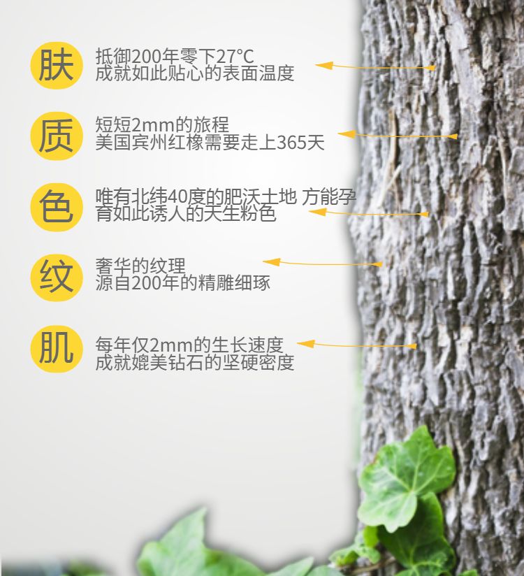 1572489368886825KrNe.jpg 1572489368886825KrNe.jpg